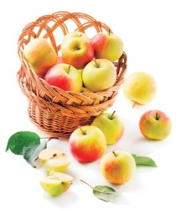 36024_stock-photo-apples-in-basket-isolated-on-white-background-115061449a_300x0